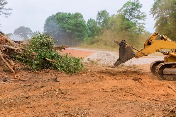 Ground Clearing in Texarkana