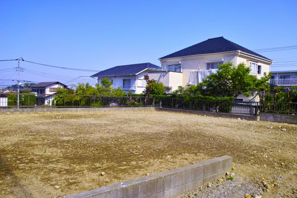 Cost of Lot Clearing Service in Texarkana