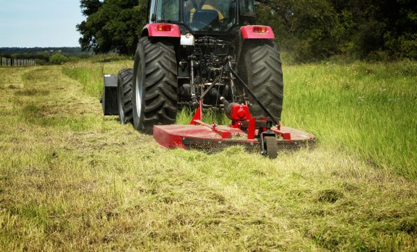 Brush Clearing Service in Texarkana