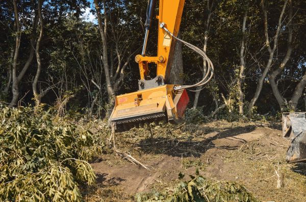 Brush Removal Service in Texarkana