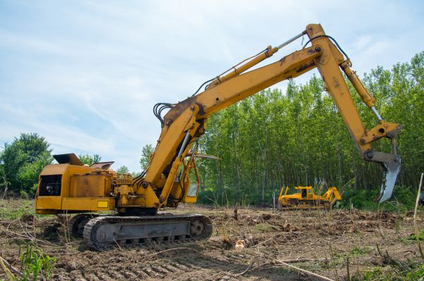 Cost of Farm Clearing in Texarkana
