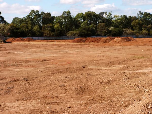Cost of Field Clearing in Texarkana