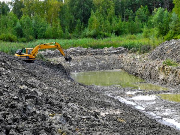 Cost of Lake Lot Clearing in Texarkana