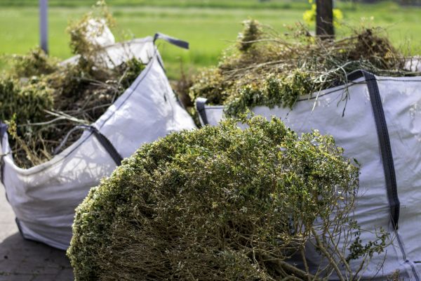 Cost of Bushes Clearing in Texarkana