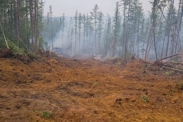Cost of Hill Clearing in Texarkana