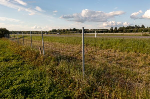 Cost of Property Line Clearing in Texarkana