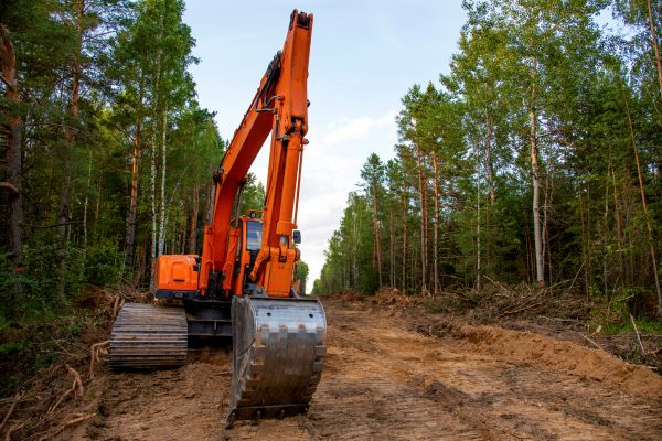 Cost of Backhoe Land Clearing in Texarkana