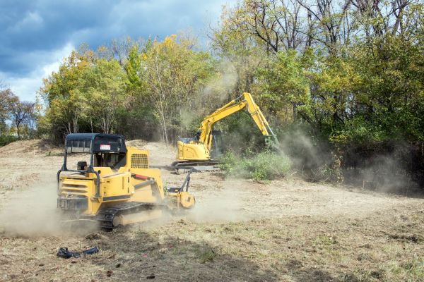 Cost of Terrain Clearing in Texarkana