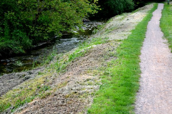 Cost of Trail Cutting in Texarkana
