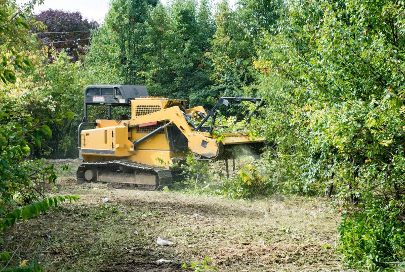 Land Clearing Equipment in Action